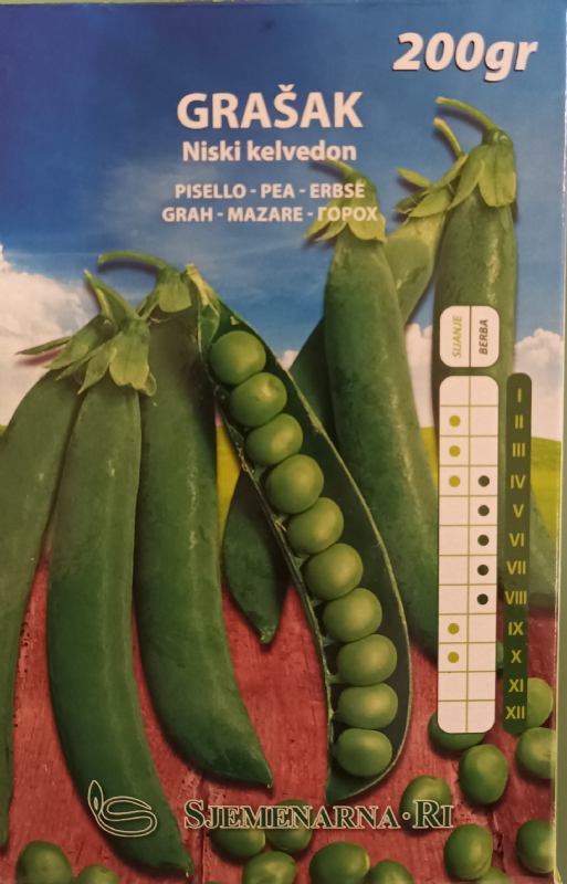 Pea seed, Kelvedon variety, 200 gr.