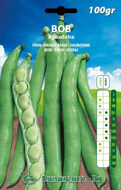 Broad bean seed packet 200 gr., variety: Aquadulce