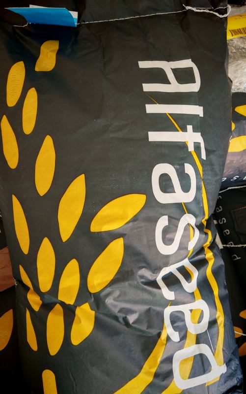 Sudanska trava 25 kg sorta BELLE
