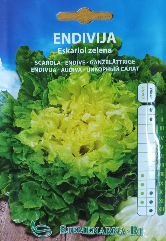 Endive seed vegetable packet