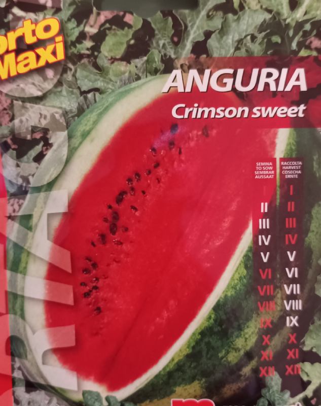 Watermelon seed, variety: Crimson Sweet