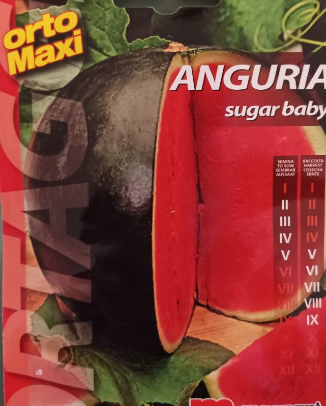 watermelon seed, variety: Sugar Baby