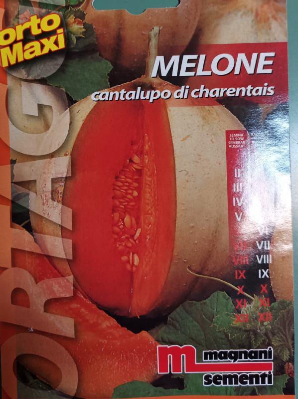 Dinja Cantalupo di Charentais