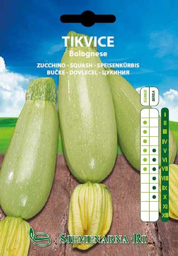 Zucchini seed, variety Bolognese