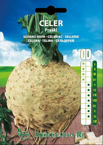 Celery seed