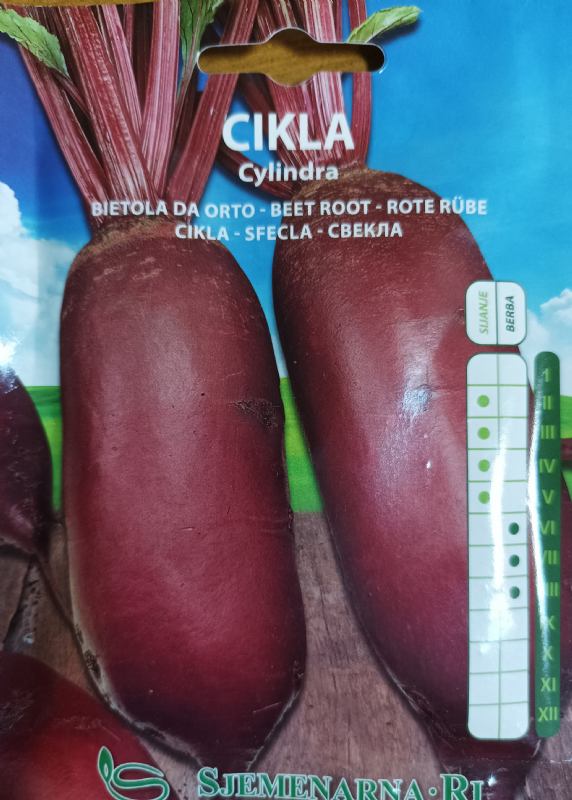 Cikla Cylindra