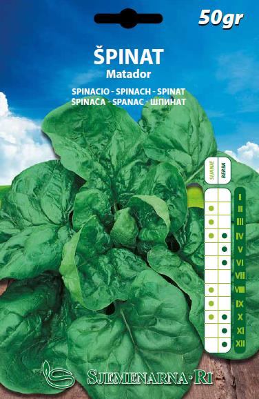 Spinach seed, Matador variety, 50 gr.packet