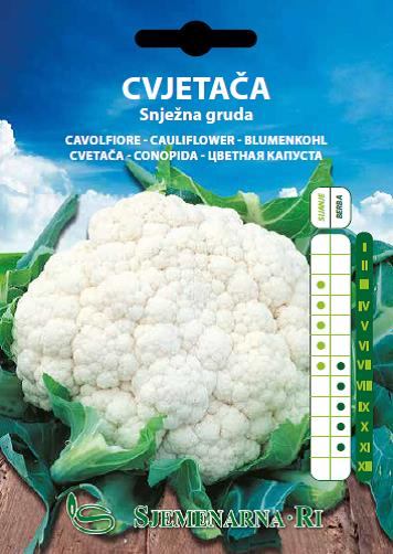 Cauliflower seed 