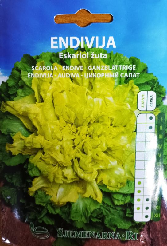 Endive seed packet