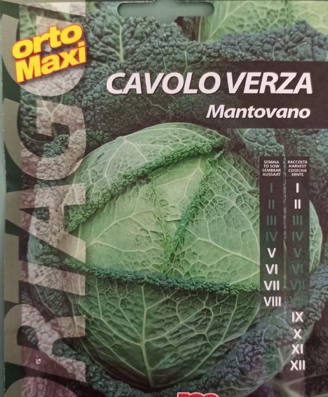 Kale seed packet, Mantovano variety