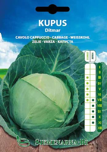 Cabbage seed packet, variety:Ditmar