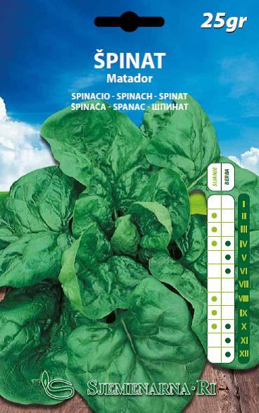 Spinach seed, variety Matador, 25 gr. packet