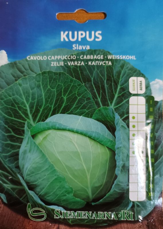 Cabbage seed packet, Slava variety