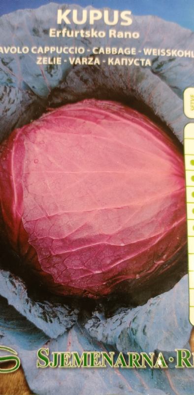 Cabbage seed packet, Erfurt variety