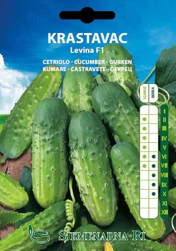 Cucumber seed packet, Levina F1 variety