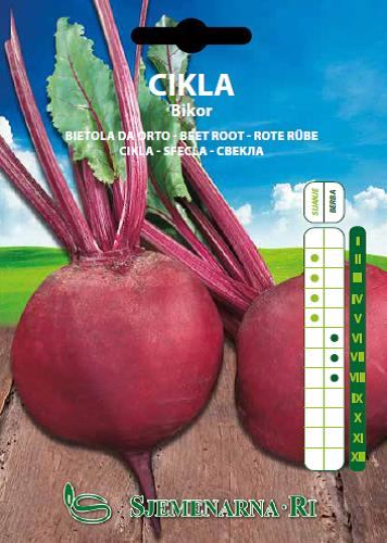 Beetroot, variety: Bikor, 50 gr. package