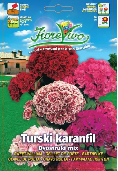 Turski karanfil dvostruki mix
