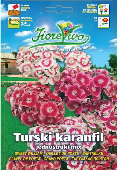 Turski karanfil jednostruki mix