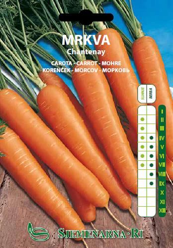 Carrot seed, vegetable package, variety: Chantanay