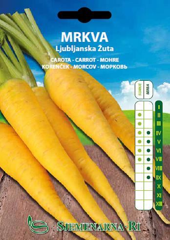 Carrot seed, variety: Ljubljana yellow