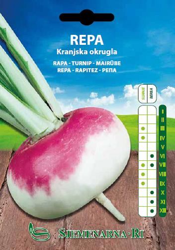 Repa okrugla kranjska