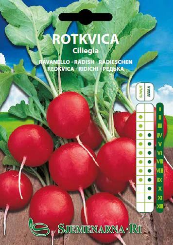 Rotkvica Ciliegia