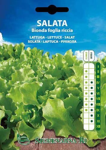 Salad seed, variety: Bionda a foglia riccia