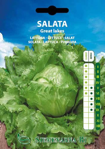 Salad seed, Great lakes variety