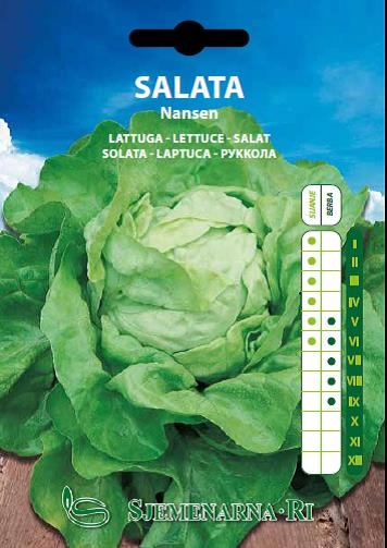 Salad seed, variety: Nansen