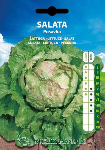 Salad seed, variety:Posavka