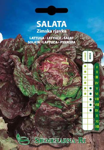 Brown winter lettuce seed packet