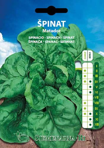 Spinach seed, Matador variety