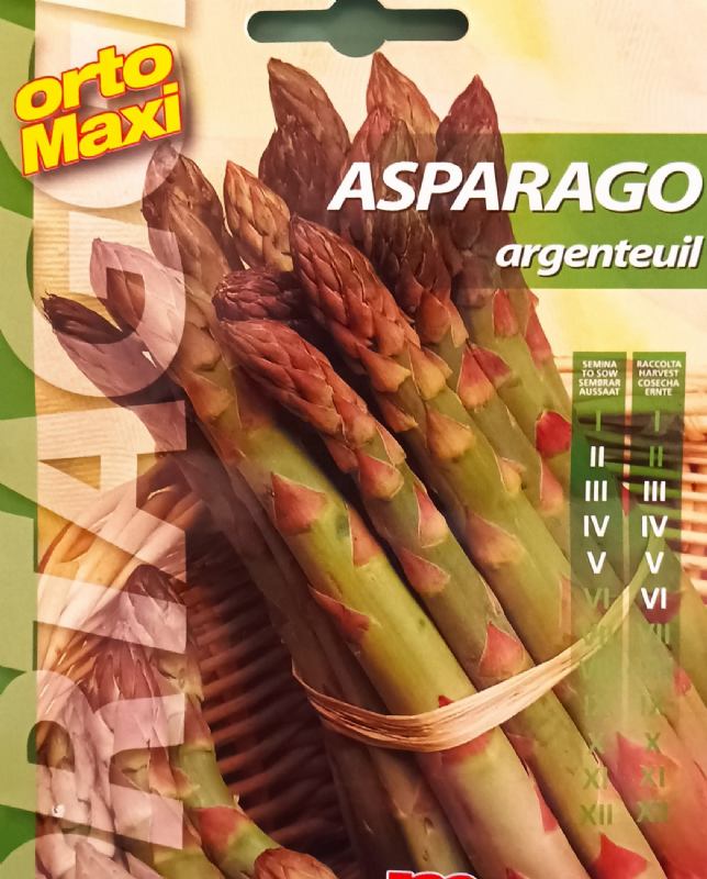 Asparagus seeds