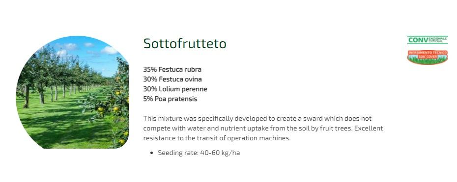 SOTTOFRUTTETO 10kg