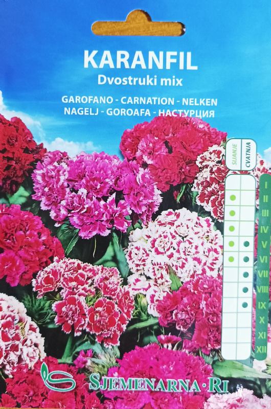 Carnation double mix