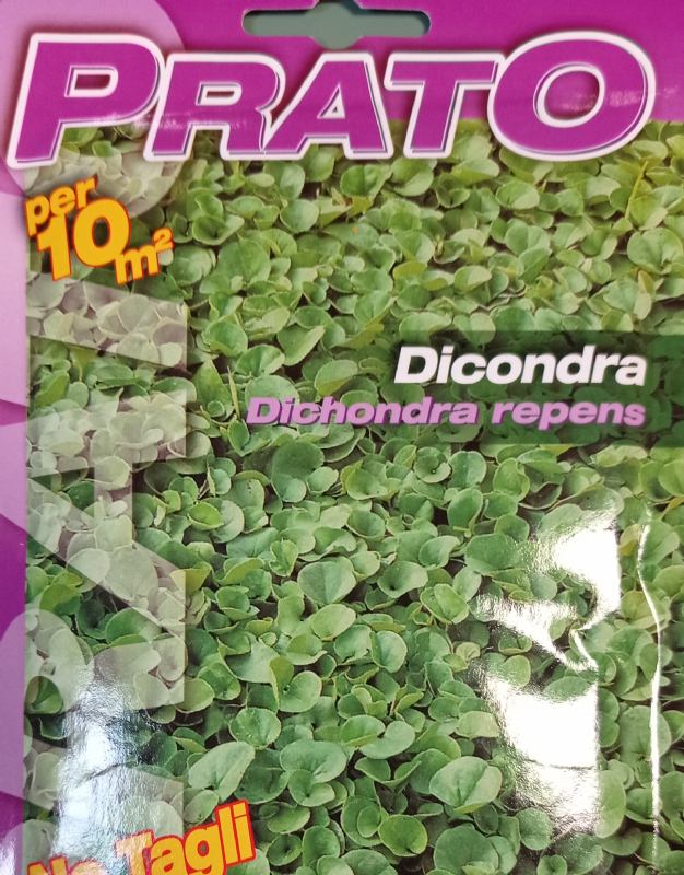 Dihondra repens 100gr.