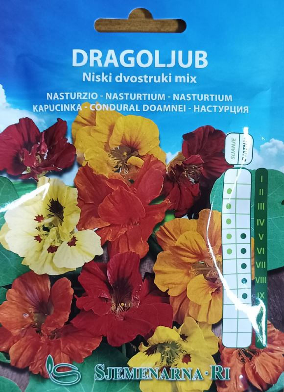 Nasturtium low double mix