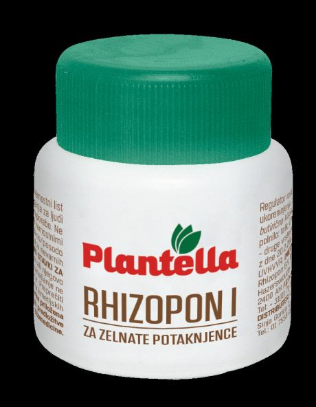 RHIZOPON I