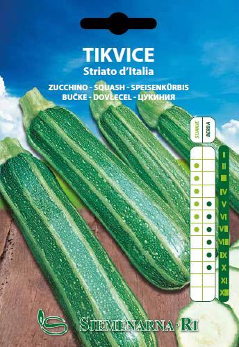 Zucchini seed, variety: Striato d'Italia