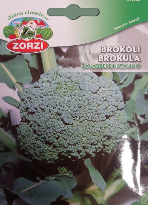 Brokula Calabrese Natalino