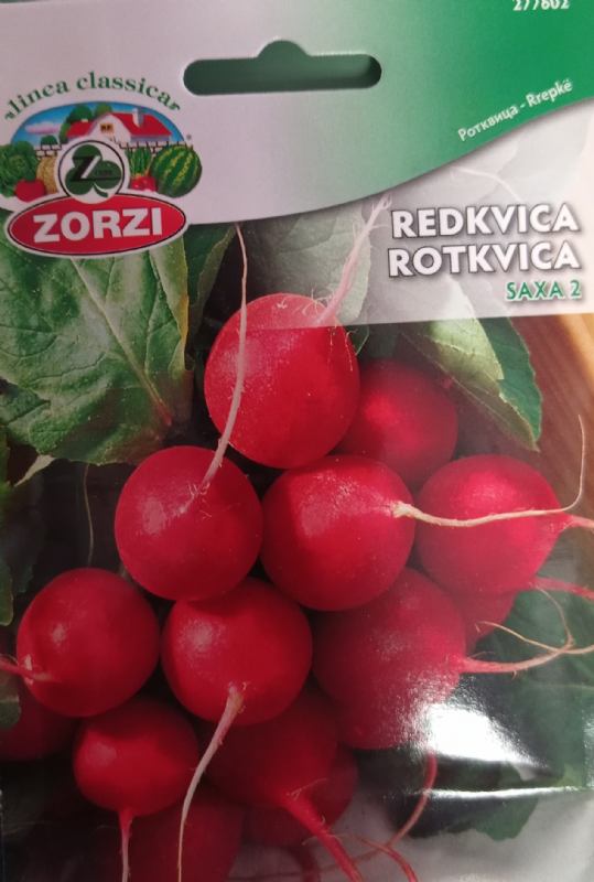 Rotkvica Saxa 2