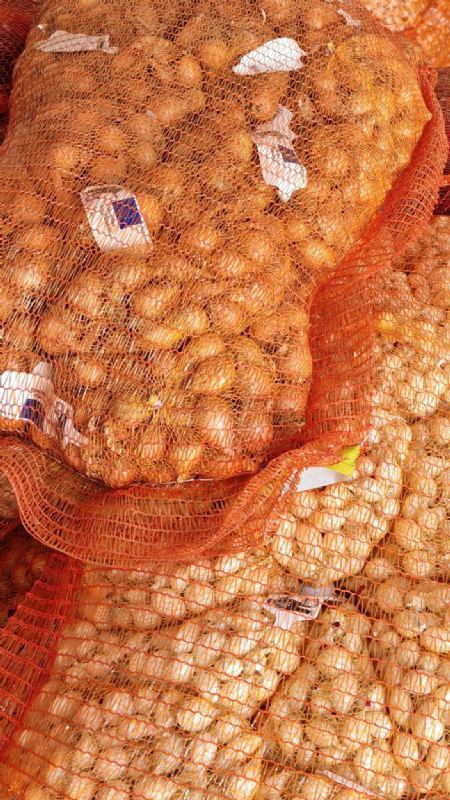 LJUTIKA GOLDEN GOURMET 500 gr.