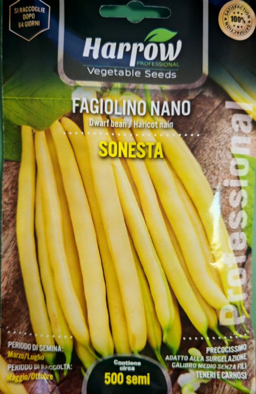 SJEME GRAHA NISKOG SONESTA 100 gr.