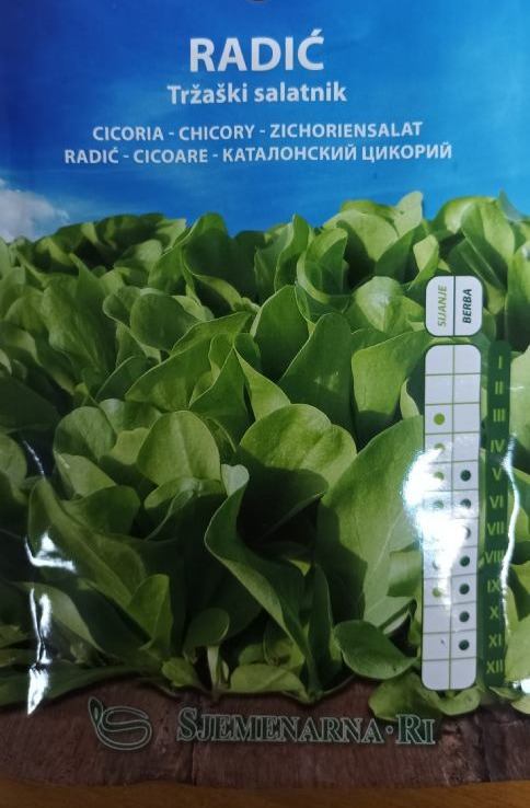 Radić tržaški salatnik
