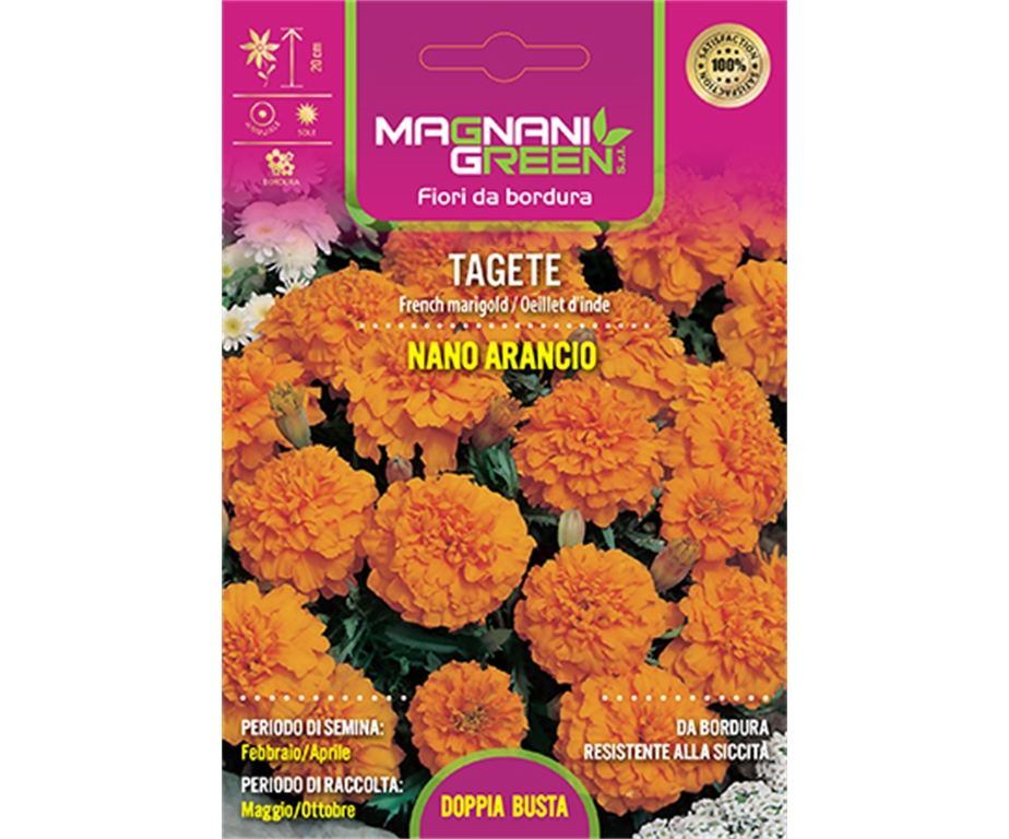 KADIFICE NISKE NARANČASTE