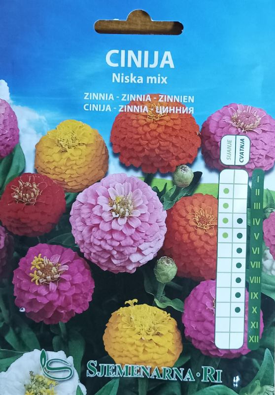 Cinija niska mix