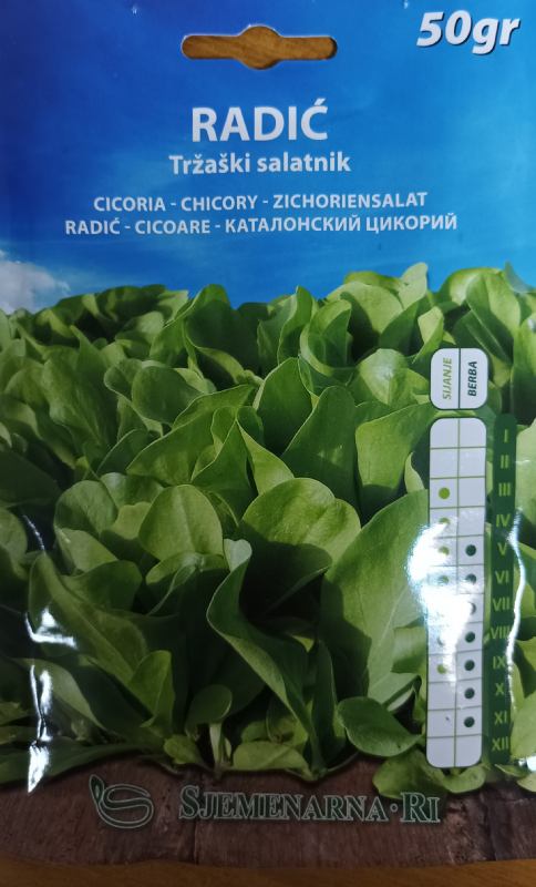Radicchio seed packet, 50 gr.