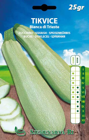 Zucchini seed, variety: Bianca di Trieste 25 gr.