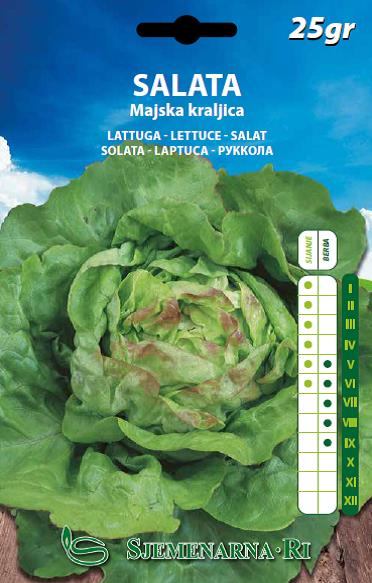 Salad seed, 25 gr. seed packet