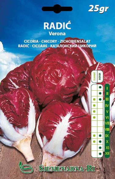 Radicchio seed, variety: Verona, 25 gr.packet